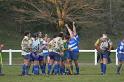Rugby 311